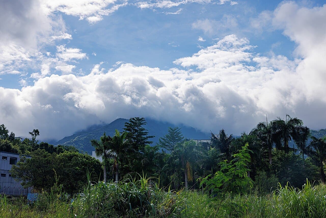 Wutong Mountain